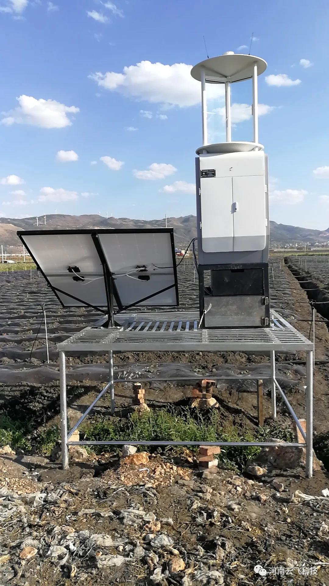 陸良縣植保植檢站利用云飛智能型測報燈開展蟲害監測預警