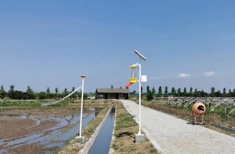 物聯網蟲情測報燈和物聯網殺蟲燈走進蘇州市農業職業技術學院