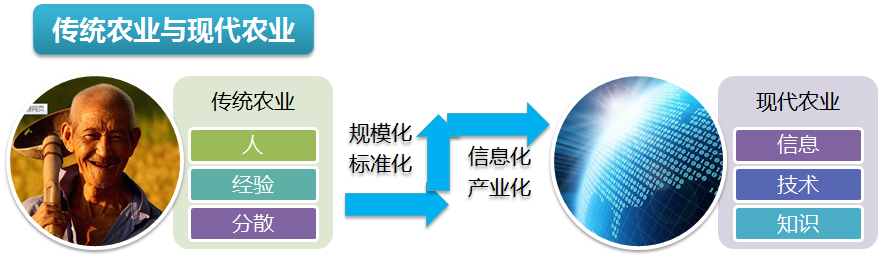 智能農業物聯網監控系統