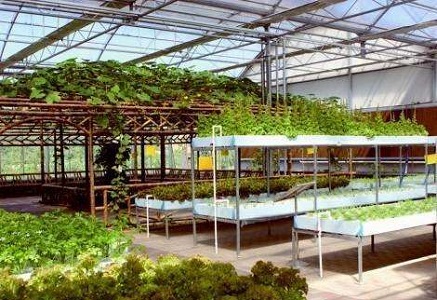 智能溫室大棚控制系統