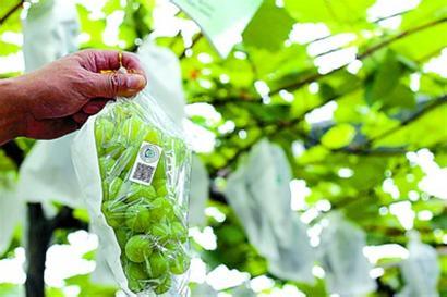 農產品質量安全追溯系統